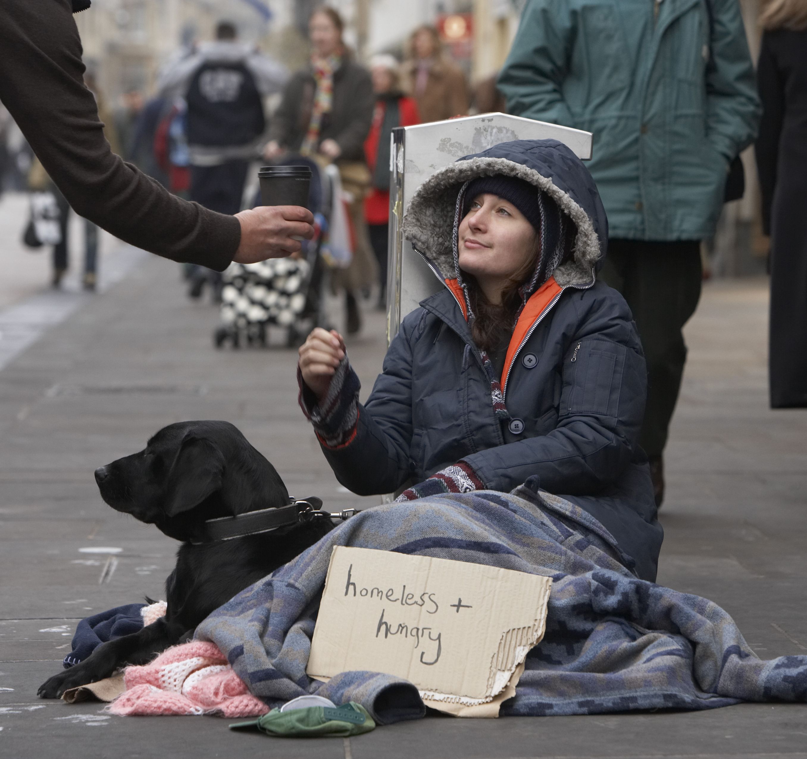 hajléktalan nő keresi ház)