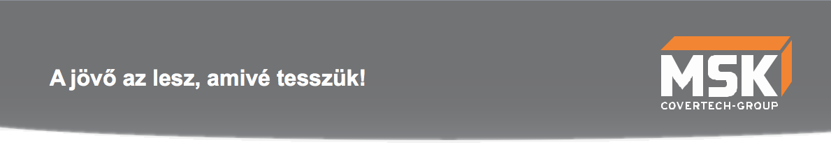 MSK_allas.png
