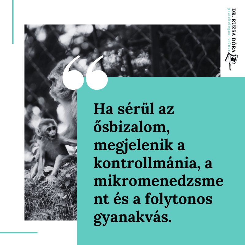 A nap, amikor rájöttem, miért akarom a beszerzéstől a számlázásig mindenki helyett én vinni a boltot