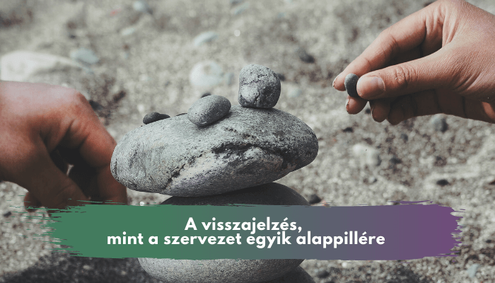 A visszajelzés, mint a szervezet egyik alappillére