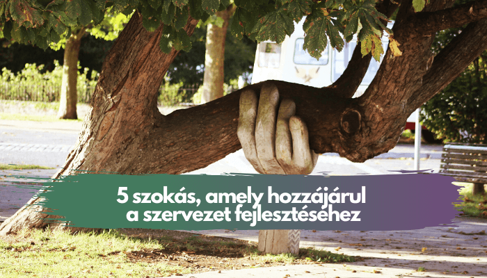 Válságálló növekedés – 5 szokás, amely hozzájárul a szervezet fejlesztéséhez