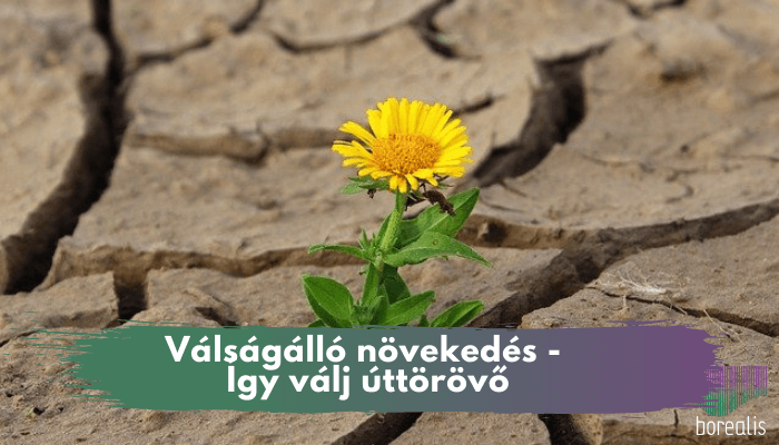 Válságálló növekedés – A kezedbe adjuk a kulcsot, hogyan válj úttörővé válság idején