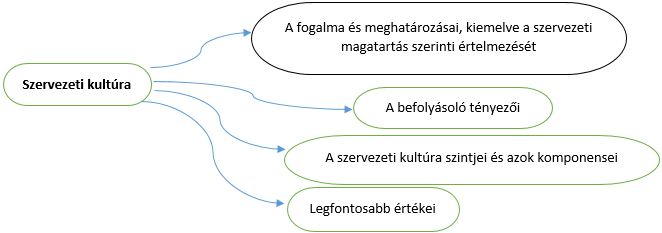 A szervezeti kultúra, mint a szervezeti hatékonyságot befolyásoló eszköz