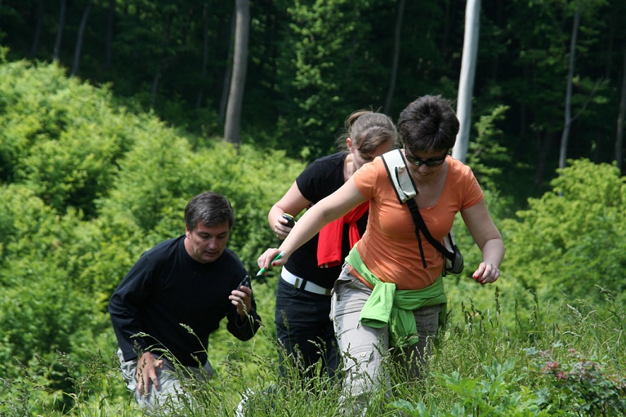 Szabadban – szabadon / outdoor csapatépítés, épp itt az ideje!