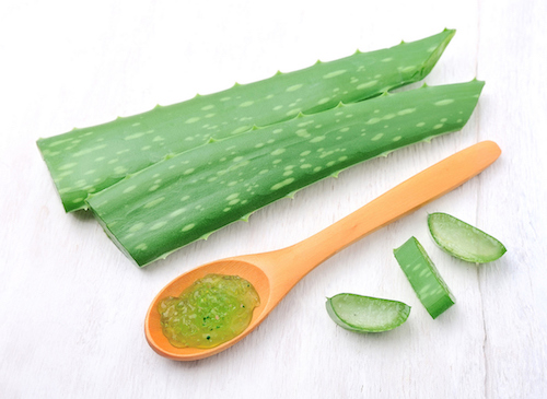 aloe vera bőrápolás-