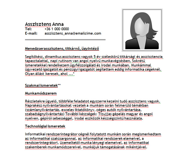 Asszisztens Anna Jobangel Oneletrajz Mintaja Adminisztratoroknak Hr Portal