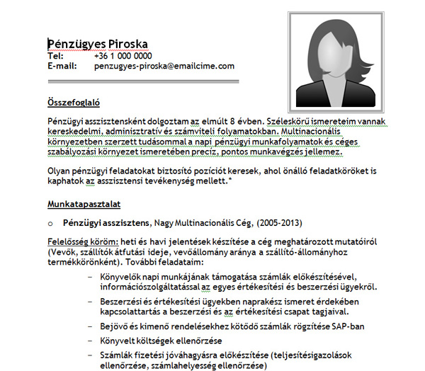 Penzugyes Piroska Jobangel Oneletrajz Mintaja Penzugyeseknek Hr Portal