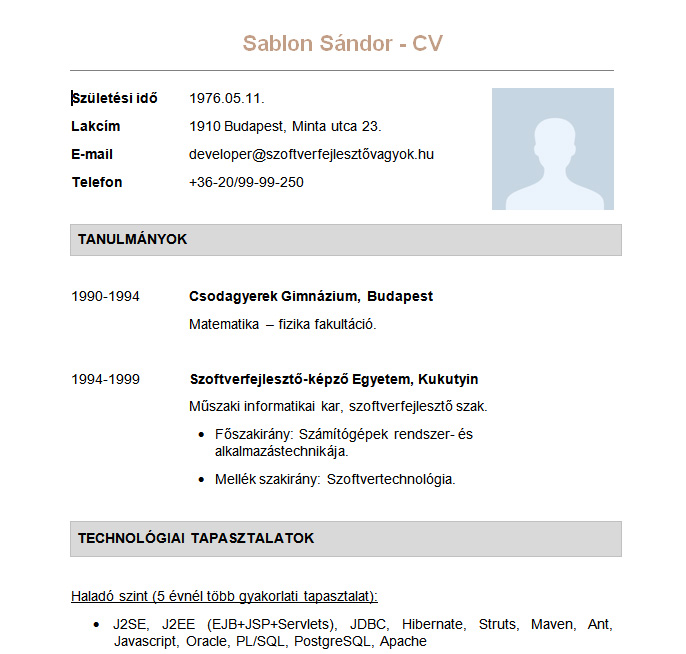 Sablon Sandor A Beck And Partners Oneletrajz Mintaja Informatikusoknak Hr Portal