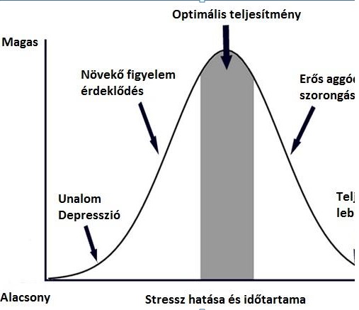 Fejben Dol El A Stressz Iranya Hr Portal