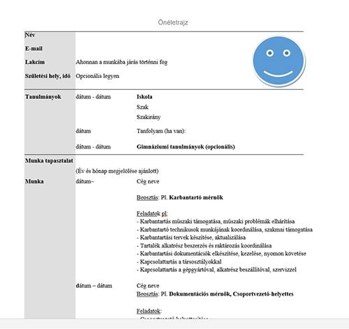 Mernok Oneletrajz Minta Hr Portal