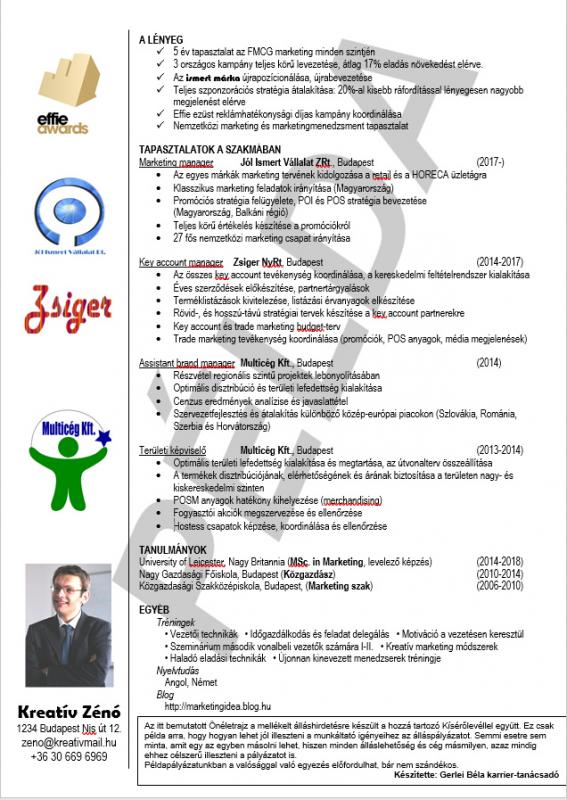 Marketing menedzser cv