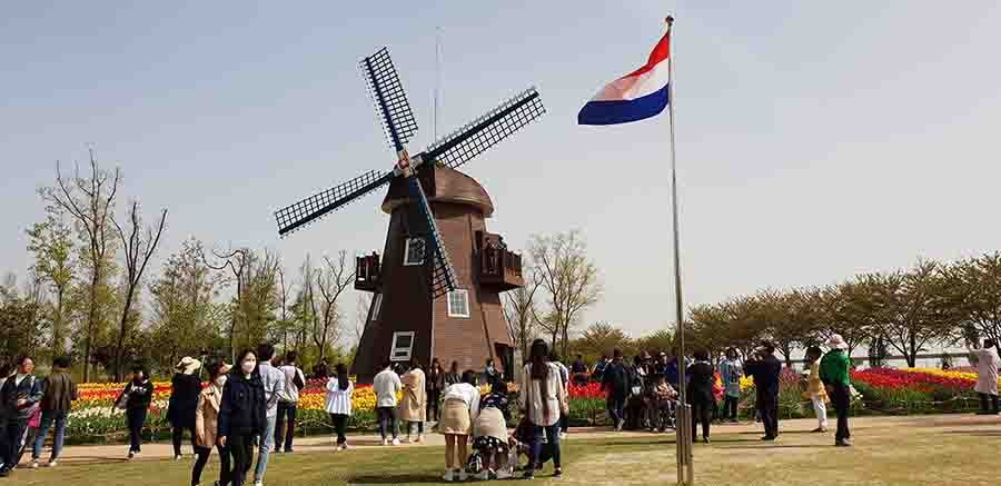 Munkavállalás Hollandiában: ezek a legnagyobb előnyei!