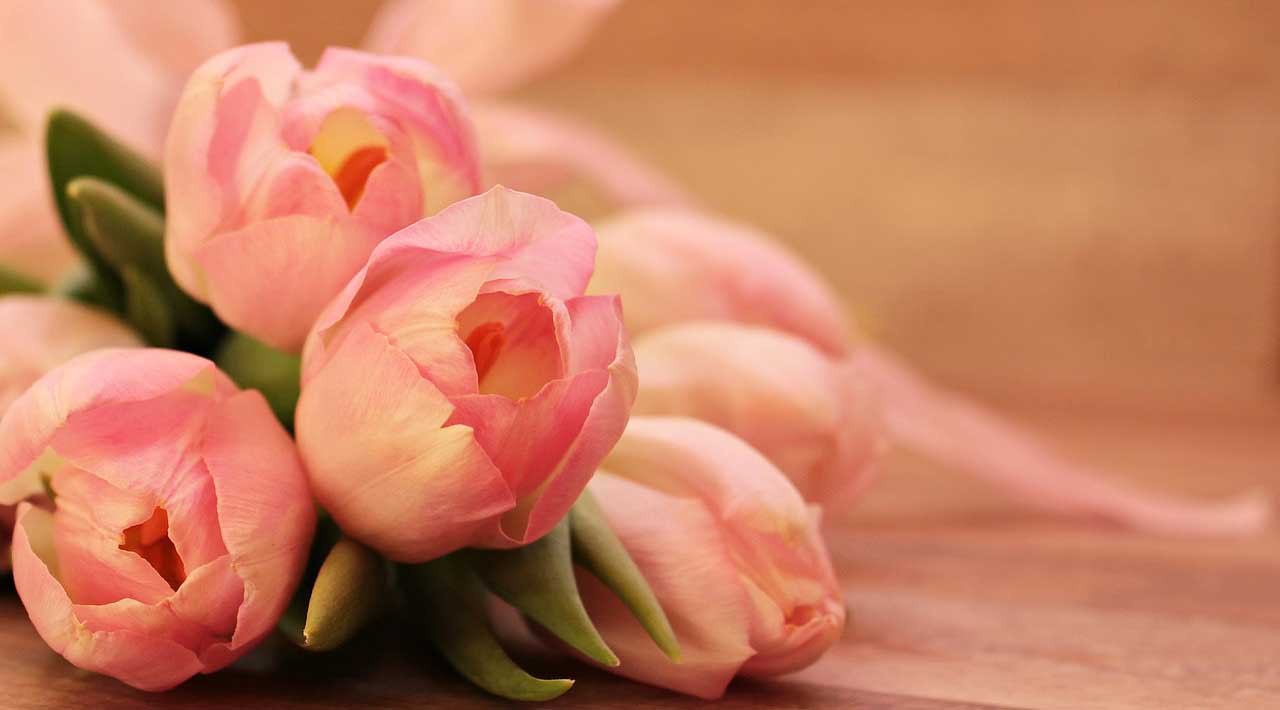 Borítsuk virágba otthonunkat élethű tulipánok által!