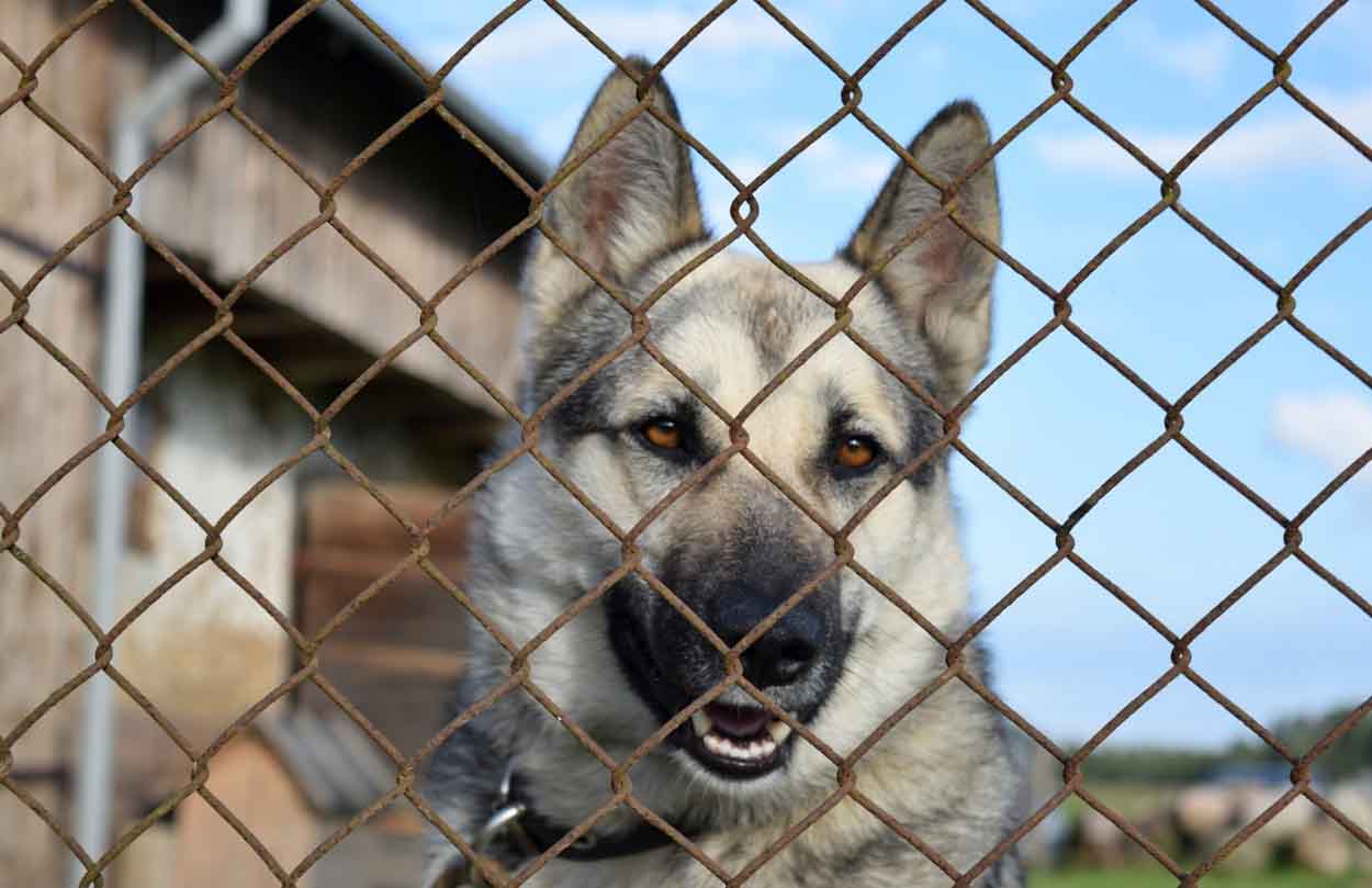 Egy civil szervezet működésében is sokat segíthet egy korszerű CRM rendszer