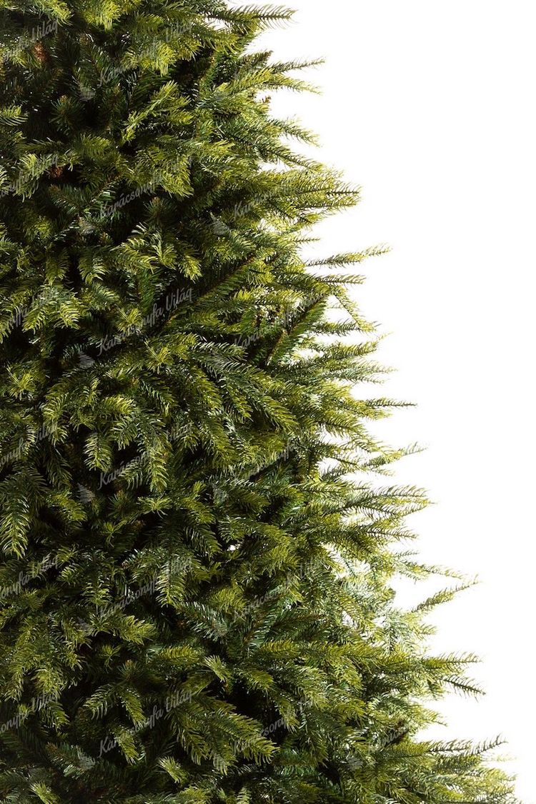 karácsonyfa karácsony lucfenyő északi fenyő