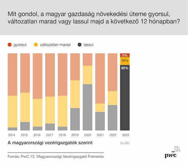 pwc vezér igazgató felmérés