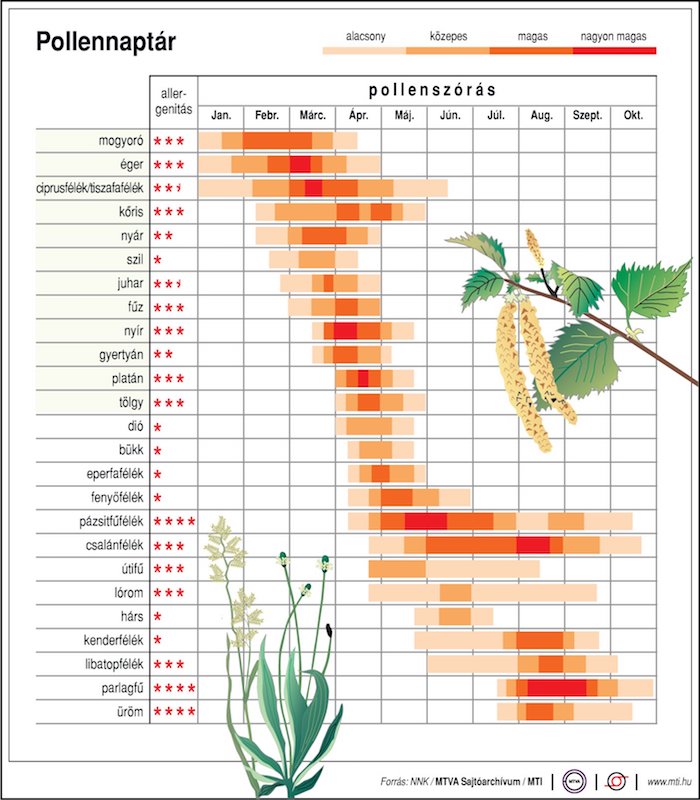 pollen allergia 2023