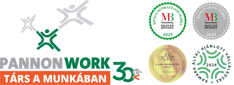 Pannon Work cikk
