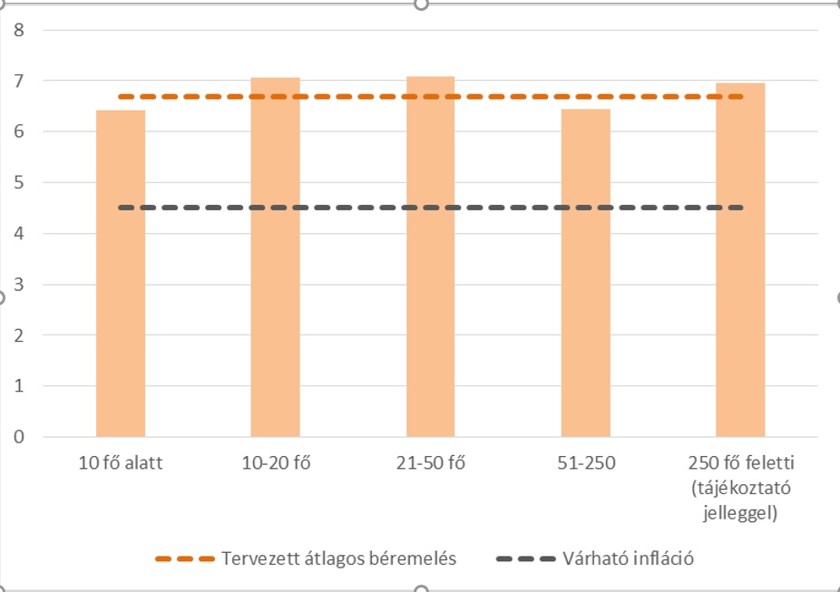 A GKI Gazdaságkutató Zrt. legújabb, februári felmérésében 5 fő feletti vállalatokat kérdezett meg,