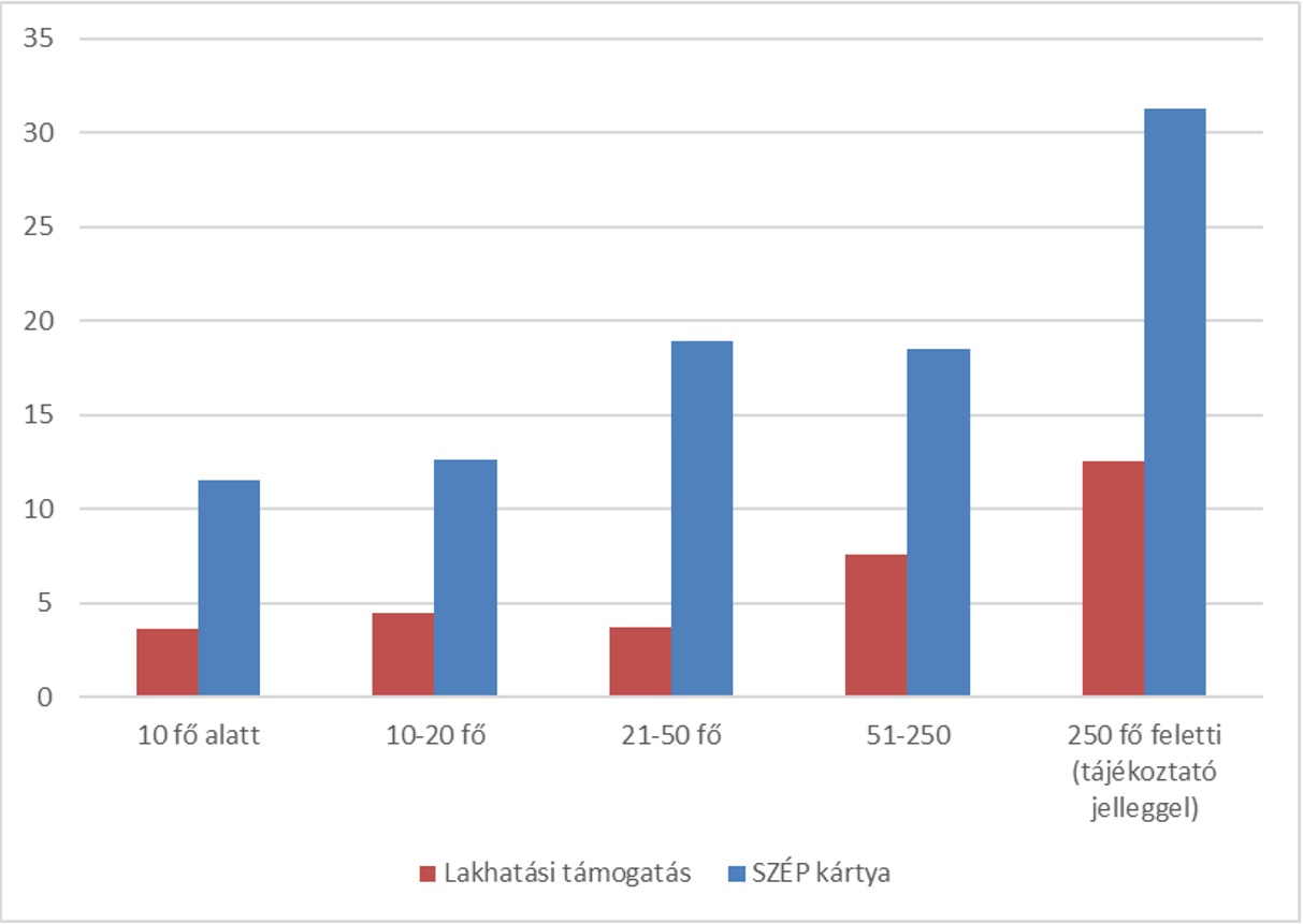 2025-ben a különböző támogatási formákat nyújtani tervező vállalatok aránya méret szerint (%)
