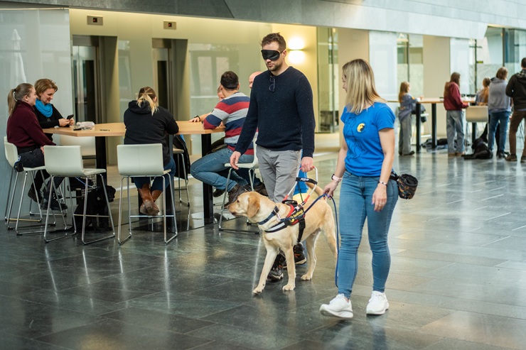 Értékteremtő partnerség a vállalati kultúrában: Tanulás és empátia vakvezető kutyákkal