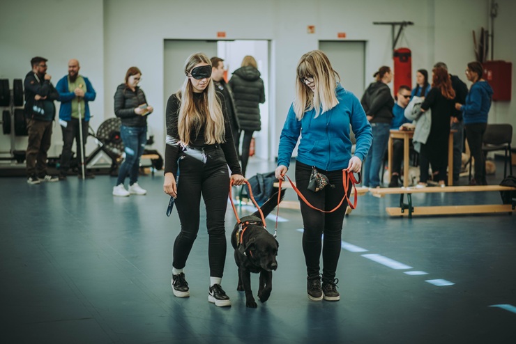 Értékteremtő partnerség a vállalati kultúrában: Tanulás és empátia vakvezető kutyák