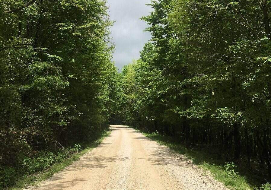 Hadobás Bernadett magyar El Camino erdő Bakony