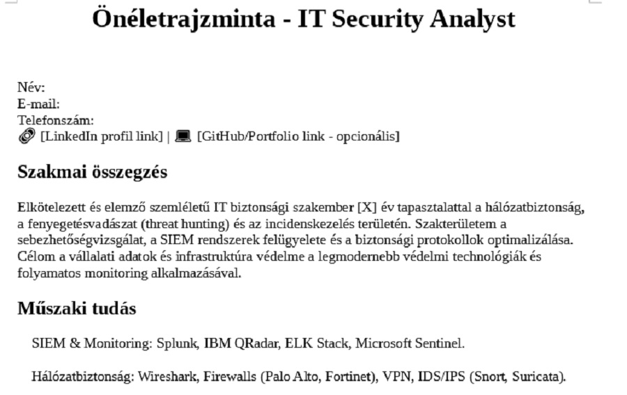 IT Security Analyst CV minta