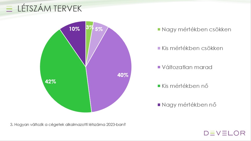 cégek, létszámtervek, kutatás