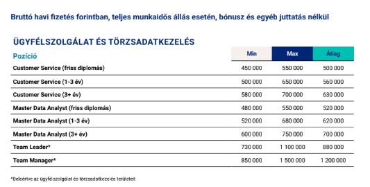 üzleti szolgáltatóközpont, ügyfélszolgálat